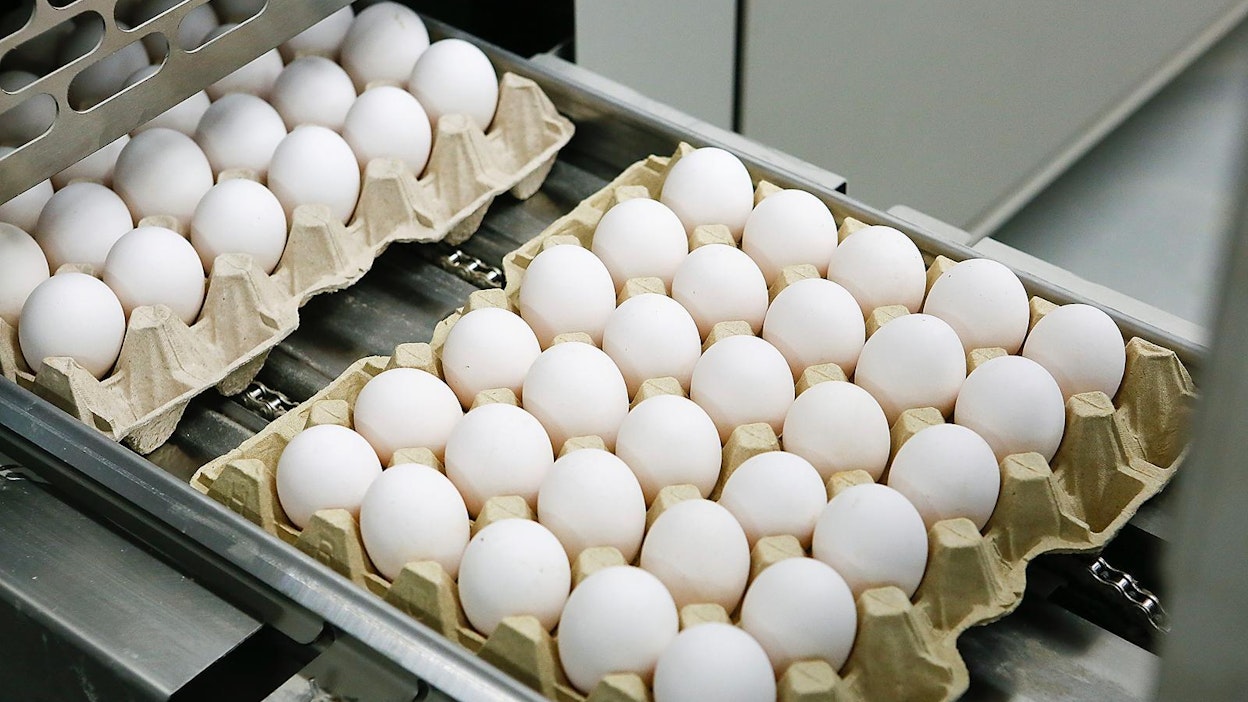 Häkkimunien suosio laskee, luomun, vapaan kanan- ja free range -munien kasvaa.