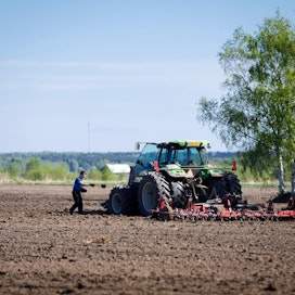 Kansallisia tukia leikkaamalla vähennettäisiin vihreiden mukaan suomalaisen maataloustuotannon tukiriippuvuutta.
