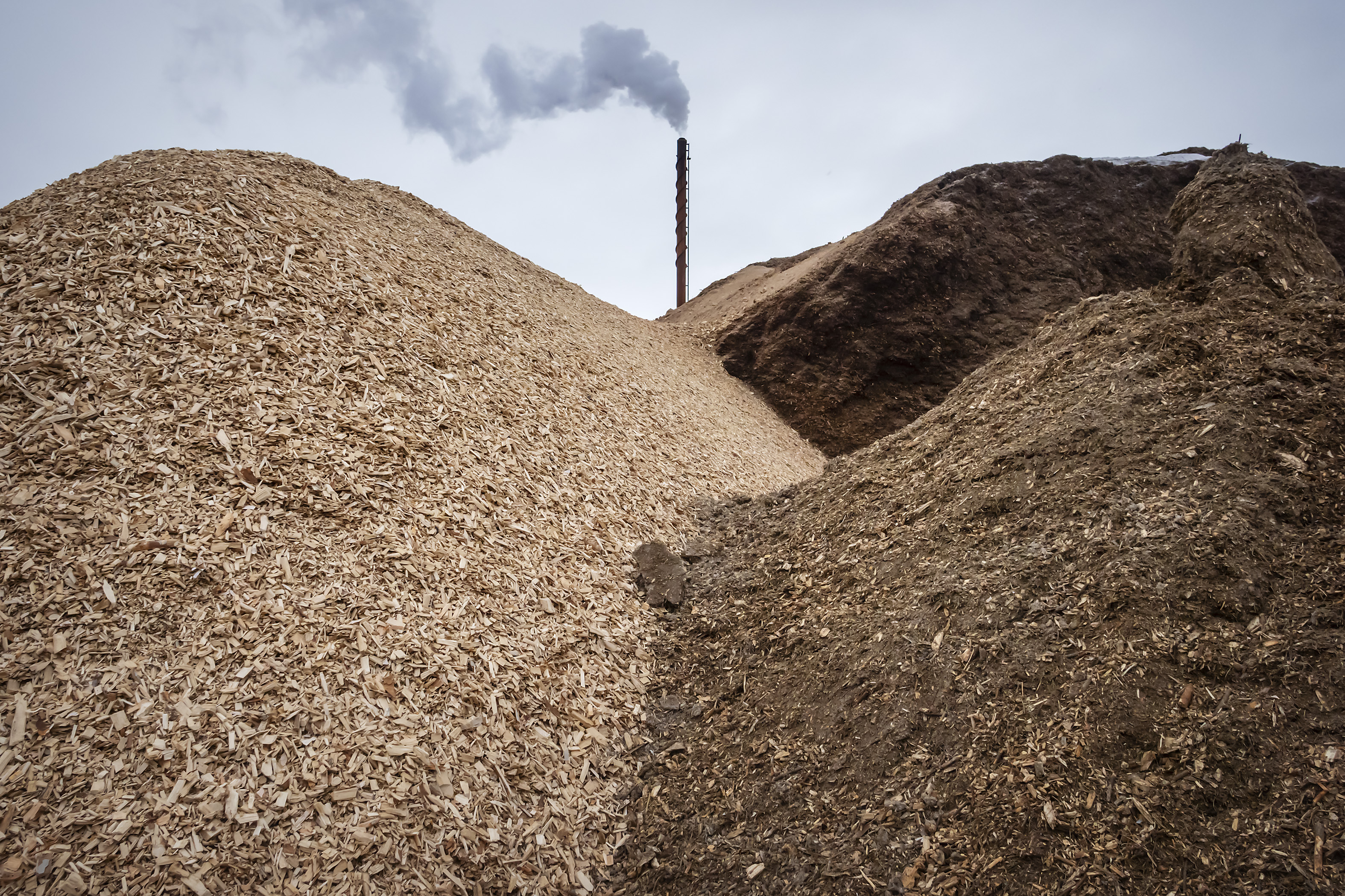 Bioperäisen hiilidioksidin talteenotosta syntyvistä päästövähennyksistä pitää Tommi Peltovuoren mielestä saada tuloja myös metsänomistajille.