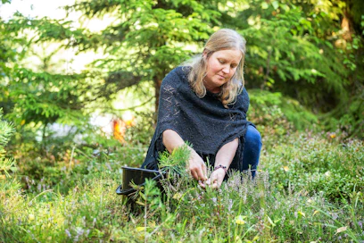 Yrttineuvoja Anna Nikkari näytti viime elokuussa luonnonyrttikoulutuksessa mallia kanervan kukkien oikeaoppiseen keräämiseen.