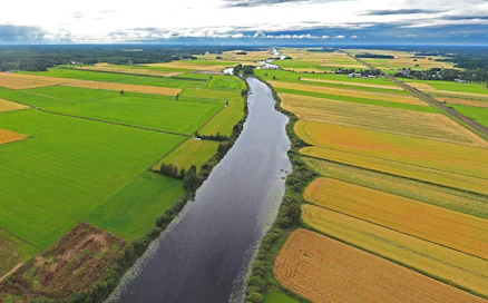 Olkaamme iloisia, että Suomi on jopa Euroopan mittakaavassa niitä harvoja maita, jossa on mahdollisuus biotalouden kautta ruokkia kansa ja tuottaa omaa uusiutuvaa energiaa.