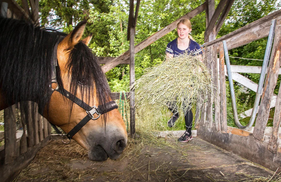 Laadukas heinä on hevosen ruokinnan perusta. Horse Balance on kehittänyt rehun, joka riittää sen parina hevosen tarpeisiin.