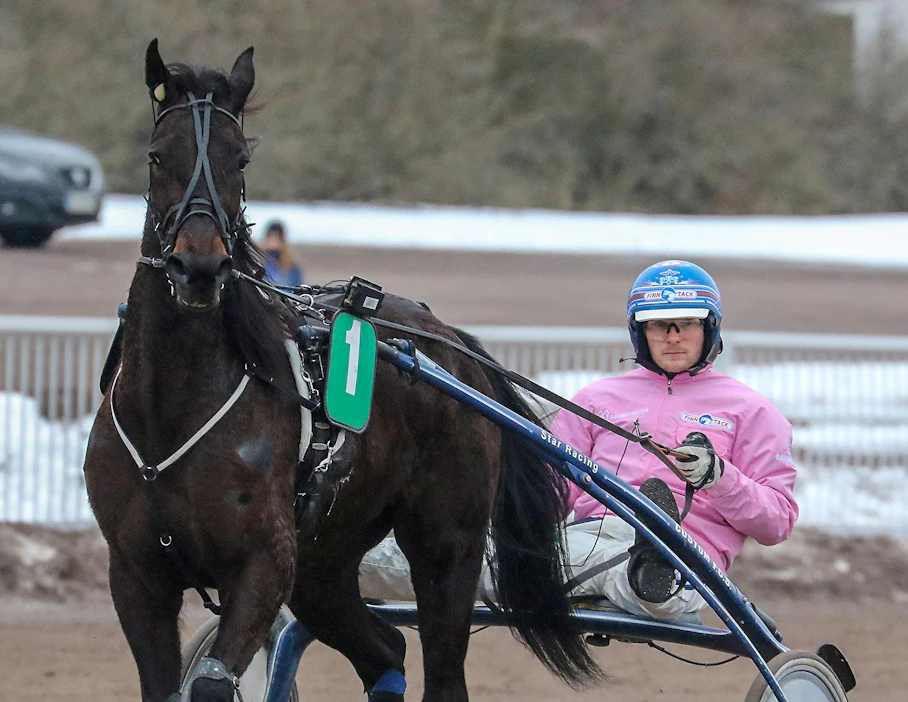 Janne Korpi hyppää Free Men rattaille Korven Tallin kevään pinkeissä väreissä. Keskiviikon startti oli Jannelle pieni pettymys.