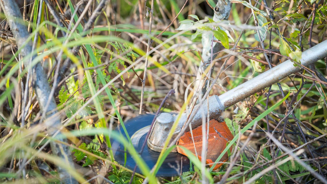 Tuoton kannalta on tärkeää huolehtia siitä, että metsänhoitotyöt tehdään oikea-aikaisesti.