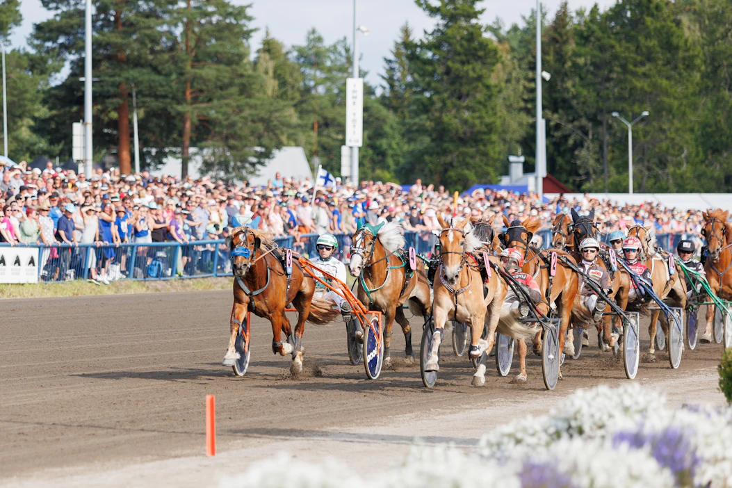 Ravikuningattaren seppelettä tavoittelee kova tammajoukko. Mukana ovat myös kuvassa viime vuoden päätösmatkaa johtava kaksinkertainen ravikuningatar Suven Sametti, sen takana seuraava hallitseva kuningatar Lumi-Oosa, johtavan rinnalla juokseva Vennelmon Varma ja sitä seuraava Sirpsakka.