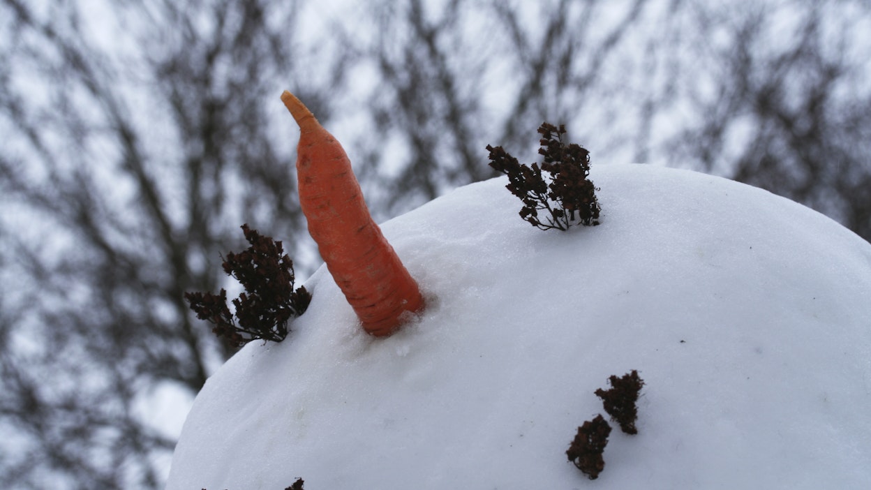 Lauhempi sää ja märkä lumi voivat mahdollistaa lumiukkojen tekemisen.
