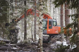 Ojien tukkiminen nostaa vedenpintaa suometsässä, mikä saattaa vapauttaa raskasmetalleja vesistöön.