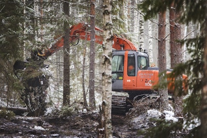 Ojien tukkiminen nostaa vedenpintaa suometsässä, mikä saattaa vapauttaa raskasmetalleja vesistöön.