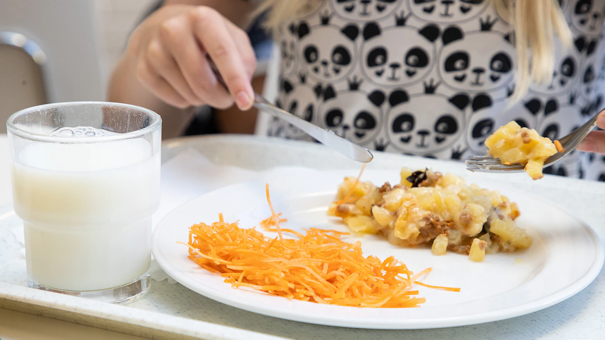 Kokeilupäiväkodeissa ruokatarjontaa muutettiin muun muassa siten, että kasvisten, hedelmien ja marjojen määrää lisättiin ja kalatuotteissa pyrittiin suosimaan ympäristön kannalta kestävämpiä kalalajeja.