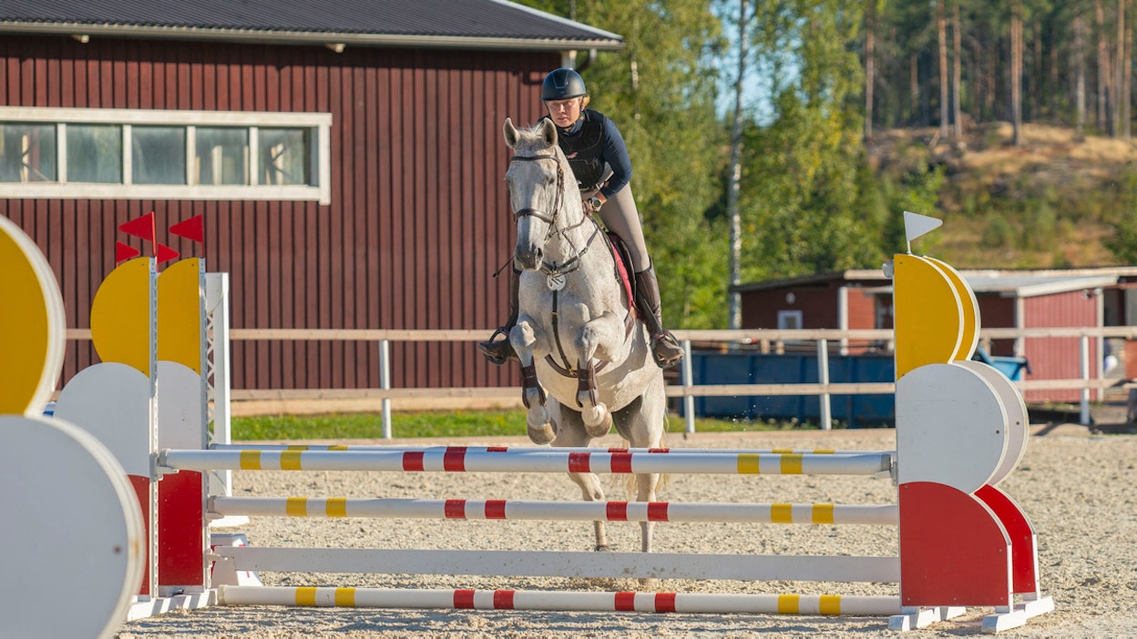 Kaisa Toivonen kertoo 16-vuotiaan Calmee-tamman olevan hänelle sopiva oppimestari.
