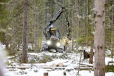 MTK ajaa muun muassa metsätaloudessa työskentelevien etuja. Kuvituskuva.