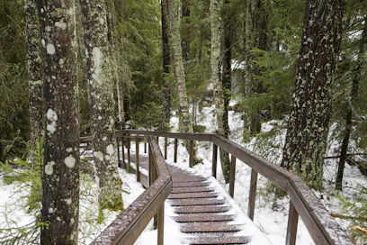 Metsähallituksen Luontopalvelut hoitaa muun muassa kaikkia Suomen kansallispuistoja. Kuva Helvetinjärven kansallispuistosta.