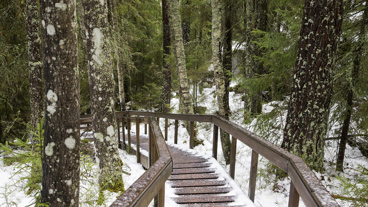 Metsähallituksen Luontopalvelut hoitaa muun muassa kaikkia Suomen kansallispuistoja. Kuva Helvetinjärven kansallispuistosta.