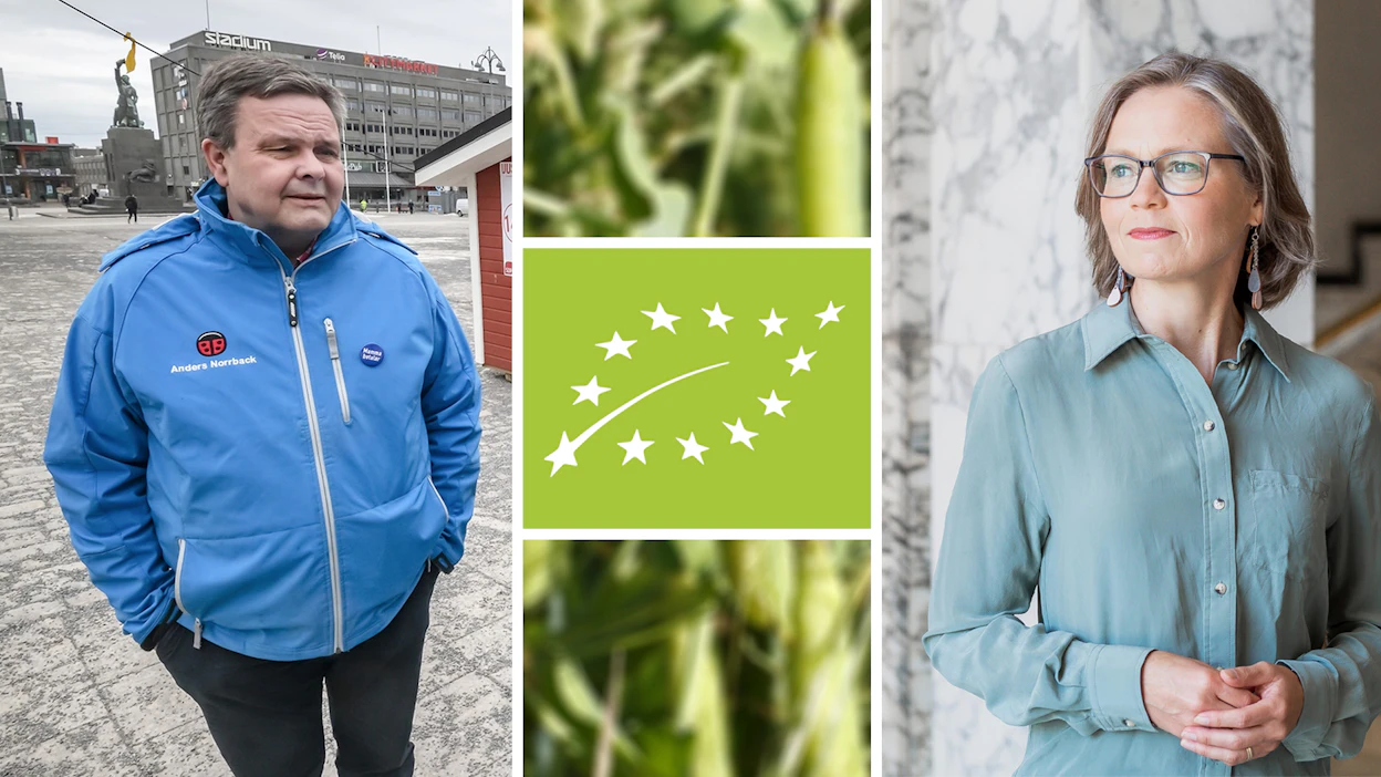 Vasemmalla RKP:n Anders Norrback ja oikealla vihreiden Tiina Elo.