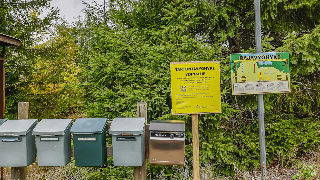 Afrikkalaisen sikaruton leviämisen estämiseksi on perustettu tartuntavyöhyöhyke. ASF ei tartu ihmisiin.