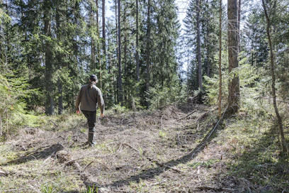 Oman kulkureitin tallentaminen on ollut yksi metsänomistajien eniten toivomista uusista ominaisuuksista.