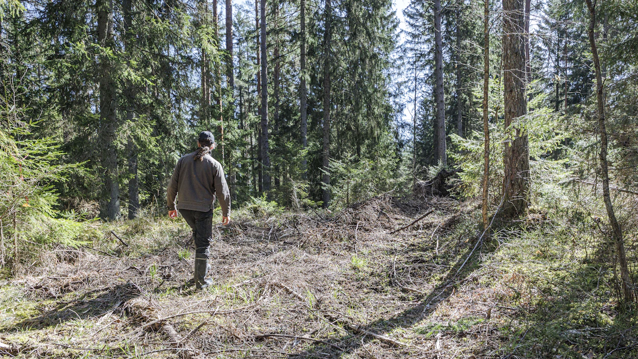 Oman kulkureitin tallentaminen on ollut yksi metsänomistajien eniten toivomista uusista ominaisuuksista.