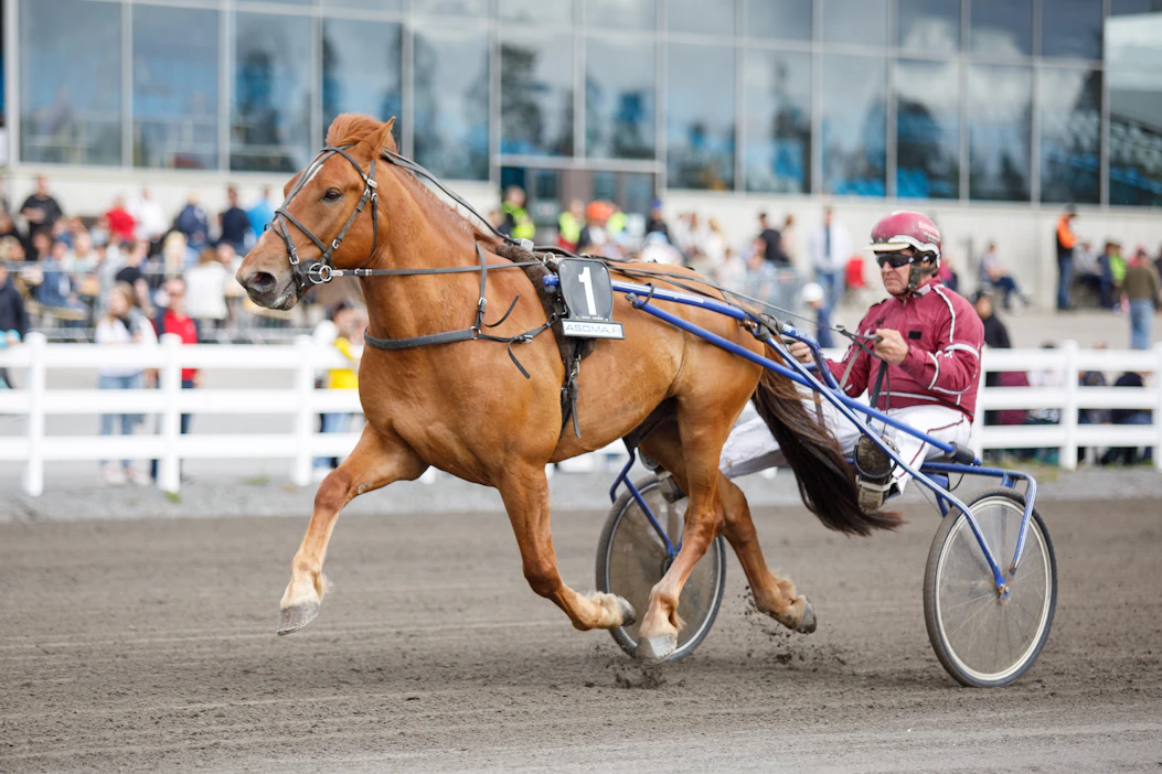 Myrskyri ja omistajavalmentajansa Ari Karttunen, joka on ajanut ruunallaan yhdeksän voittoa. Loput kahdeksantoista täysosumaa ovat Henri Bollströmin käsialaa.