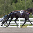 Crepe Match on ansainnut urallaan yli 300 000 euron arvosta palkintorahoja. Viimeisin startti on viime vuoden lokakuulta.