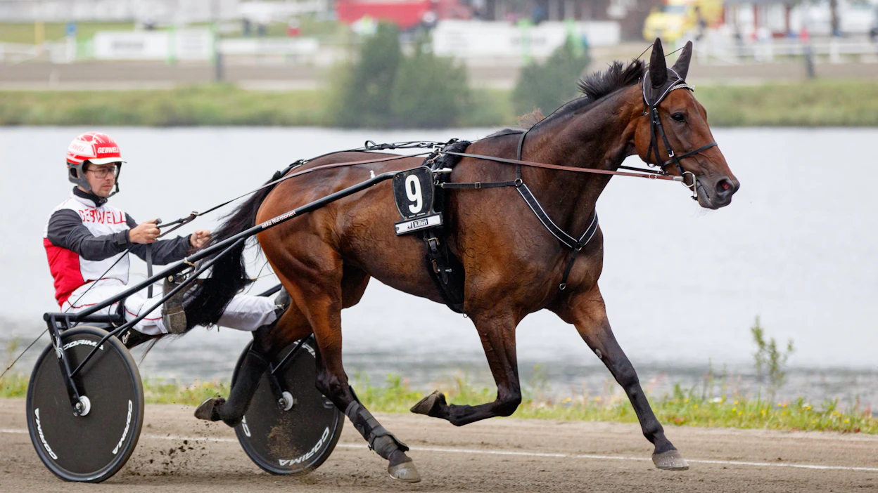 Kohti valtakunnan huippua kurkotteleva Amazing Warrior iskee kotiratansa Toto75-kierroksen ankkurina matkaan Iikka Nurmosen kannustamana. Vastus on tiukkaa tasoa Jack Vaderin, Ricoconen ja Ice Winen johdolla.