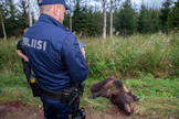 Kuvan poliisi ei liity tapaukseen ja kuvassa on kannanhoidollisen karhunmetsästyksen yhteydessä saaliiksi saatu uroskarhu.