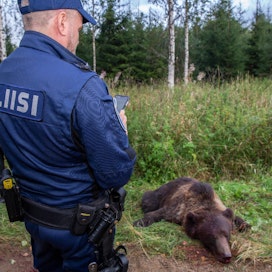 Kuvan poliisi ei liity tapaukseen ja kuvassa on kannanhoidollisen karhunmetsästyksen yhteydessä saaliiksi saatu uroskarhu.