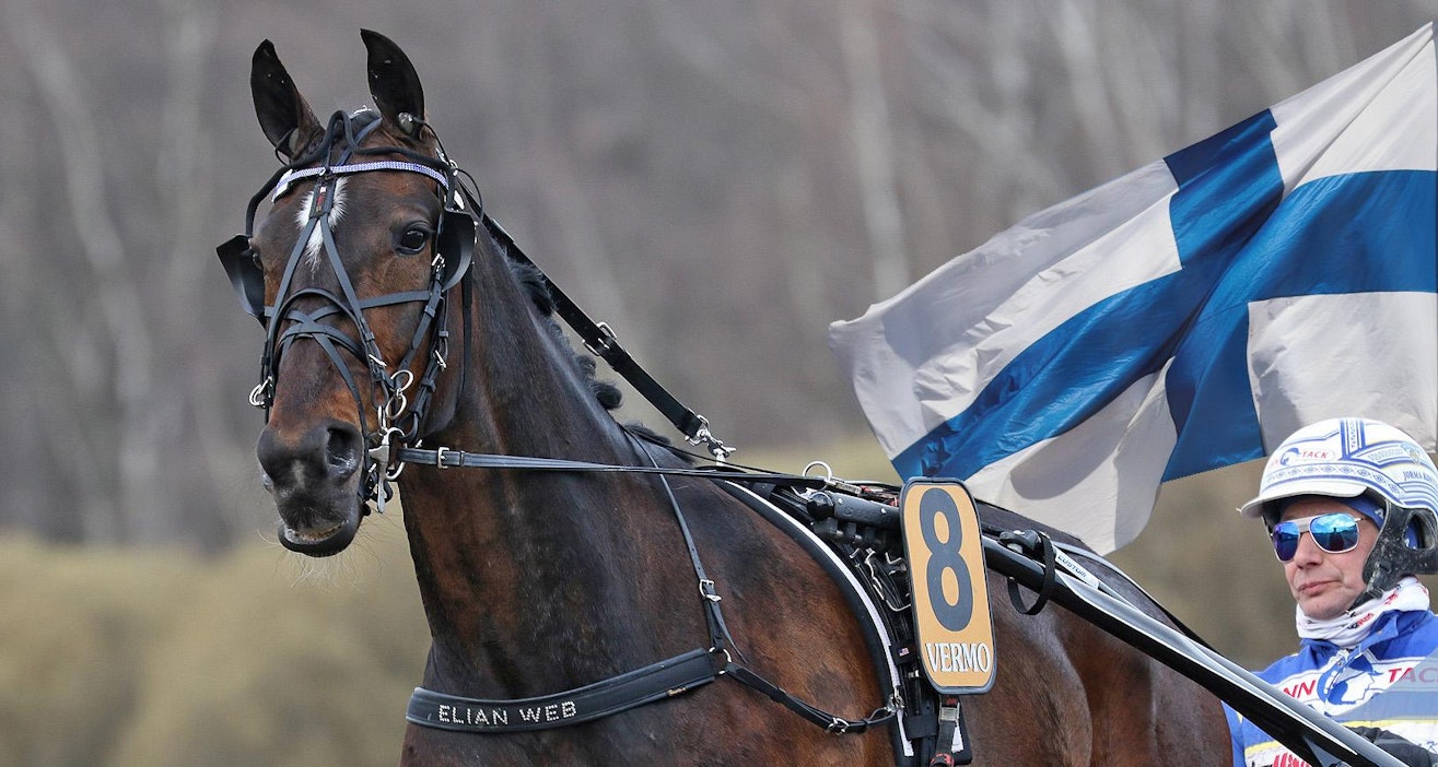Jorma Kontio jatkaa Elitloppetissa Elian Webin ohjastajana.