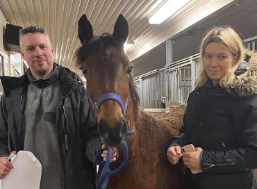 Janne Soronen ja Katja Melkko suvukkaassa seurassa: tuore vuosikas tammavarsa Exposed Sox on Face Time Bourbonin ensimmäistä ikäluokkaa ja emäkin on tuttu: Dicey Spicey.