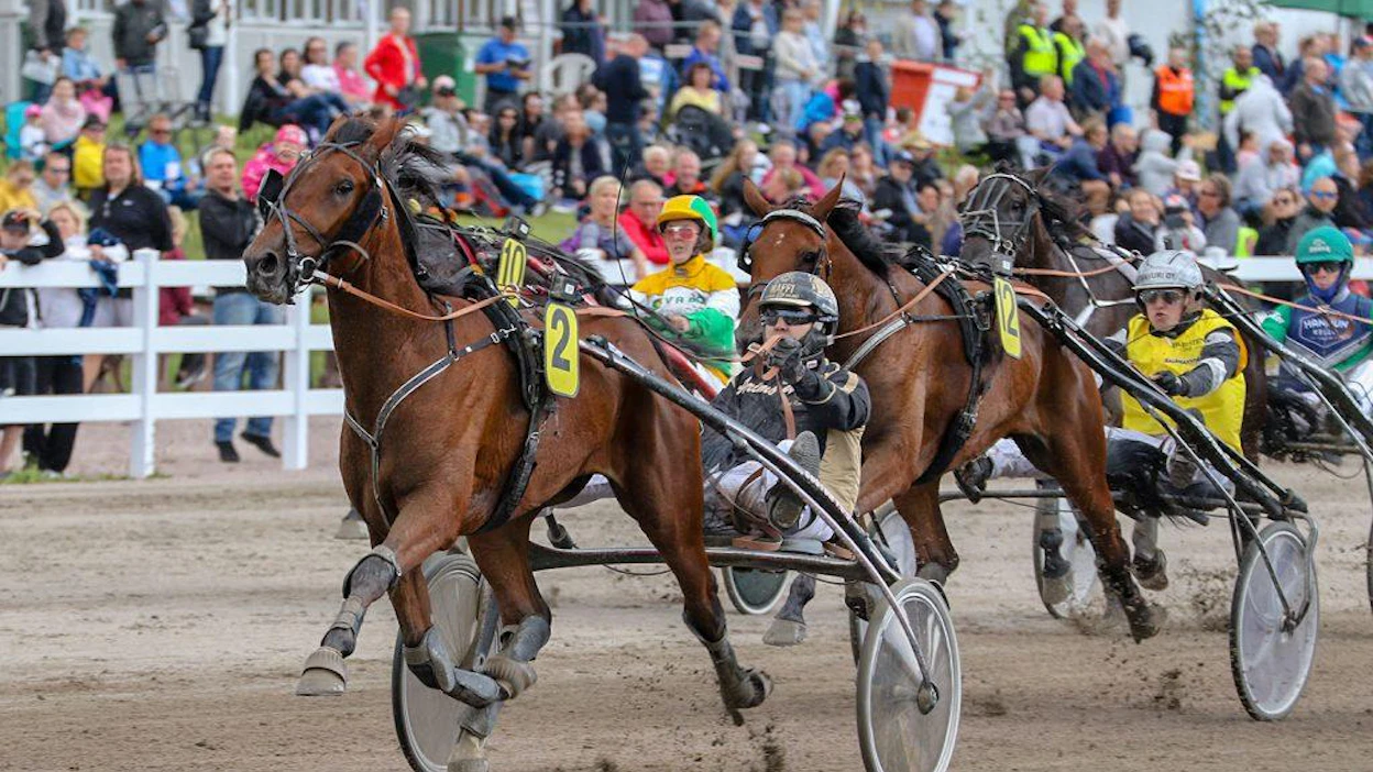 Arna Ruohomäki lasketteli Lovely Alexanderilla Salamakypärät-osalähdön voittoon. Kuva: Anu Leppänen