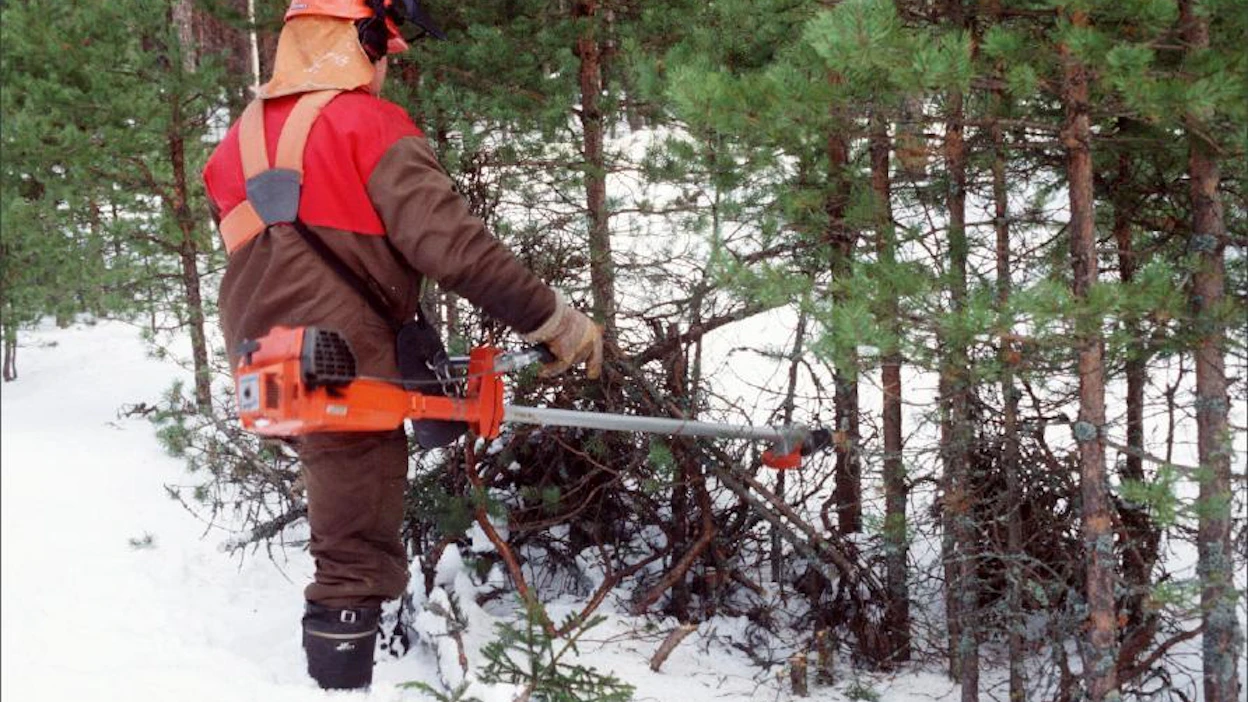 Kemeratuen maksatuksia jäi viime vuodelta rästiin 17 milijoonaa euroa. Markku Vuorikari