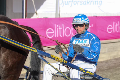 Rikard N Skoglund ohjastaa Robert Berghin valmentamaa Spickleback Facea Toto86-pelin kuudennessa kohteessa.