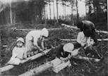 Nälkä oli yksi kipinä sisällissodan syttymiseen. Leipää jatkettiin petulla, jota kuorittiin puun nilakerroksesta.