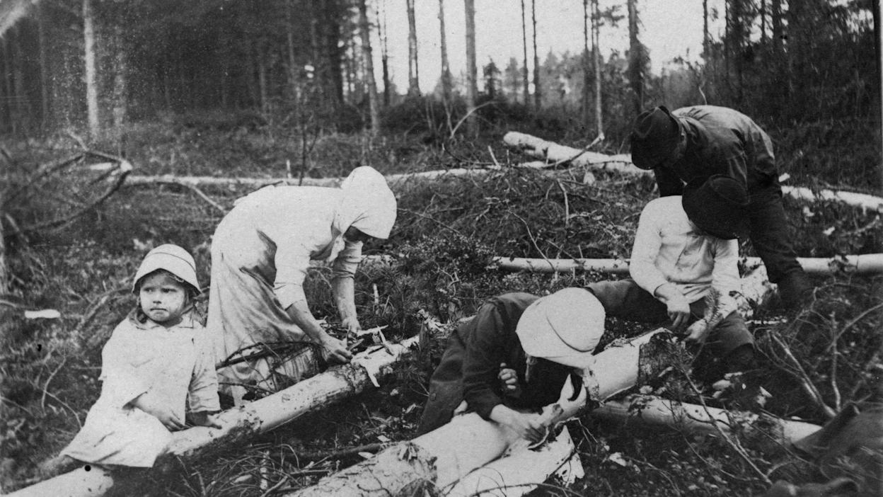 Nälkä oli yksi kipinä sisällissodan syttymiseen. Leipää jatkettiin petulla, jota kuorittiin puun nilakerroksesta.