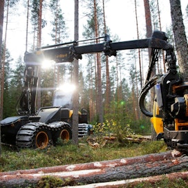 Jukola Lumberin avohakkuuton puutavara on määrä tuottaa esimerkiksi yläharvennushakkuilla kaadetuista puista.