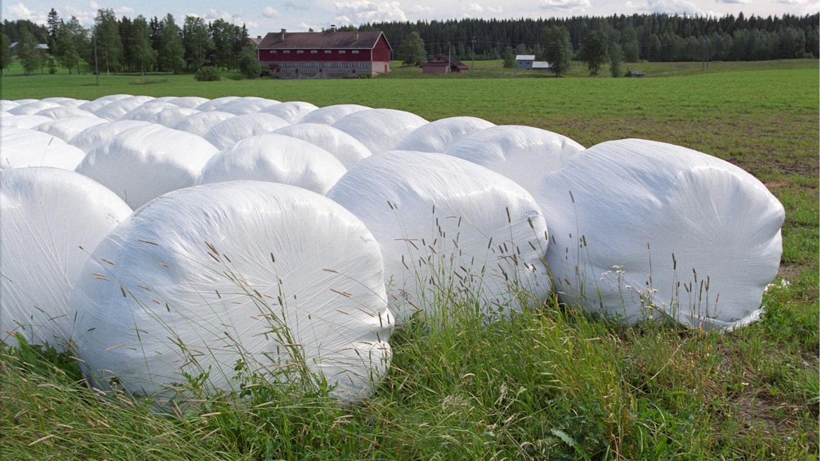 Viljatorilla voi nyt käydä kauppaa myös säilörehupaaleista.