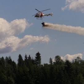 Pilotti levittää helikopterilla neulasanalyysin perusteella valmistettua puuston terveyslannoitetta.