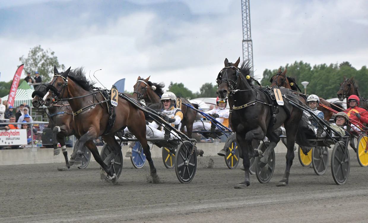Per Nordströmin ohjastama ja Costa Stable Aps omistama Wise Guy voitti helponnäköisesti oriiden ja ruunien E3-finaalin.