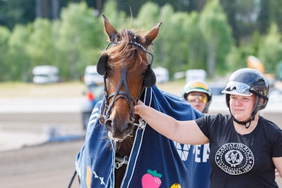 Tiina Poikolainen on laitellut Her Royal Highnessinsa jälleen huippukuntoon, ja tamma tykitti Mikkelissä lauantaina loppua tiitterästi. Her Royal Highness hakee Toto65-pelin avauskohteessa paluuta parrasvaloihin.