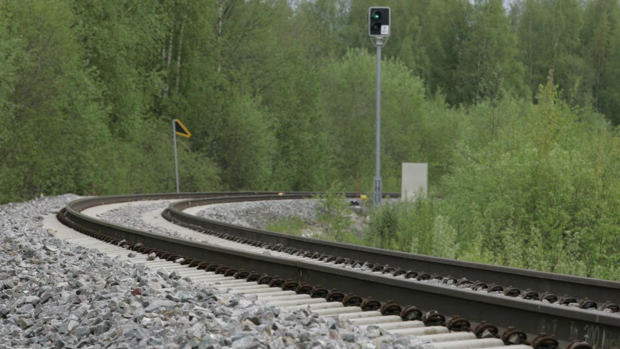 Kilpailuttaminen vie julkisten palveluiden omistuksen ulkomaille, varoittaa Markku Ojanen.