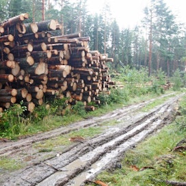 Metsätalouden käyttöön rakennetuista metsäteistä hyötyvät ennen kaikkea metsästäjät ja marjastajat.