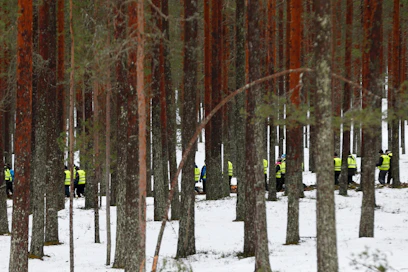 Metsähallituksen hakkuusuunnitelmista nousi syksyllä kohu julkisuudessa. Kuva on Oulujärven Ärjänsaaresta, jossa UPM:n hakkuita arvosteltiin. Nyt saari on Metsähallituksen omistuksessa.
