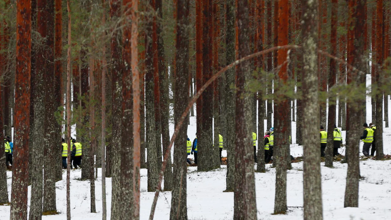 Metsähallituksen hakkuusuunnitelmista nousi syksyllä kohu julkisuudessa. Kuva on Oulujärven Ärjänsaaresta, jossa UPM:n hakkuita arvosteltiin. Nyt saari on Metsähallituksen omistuksessa.