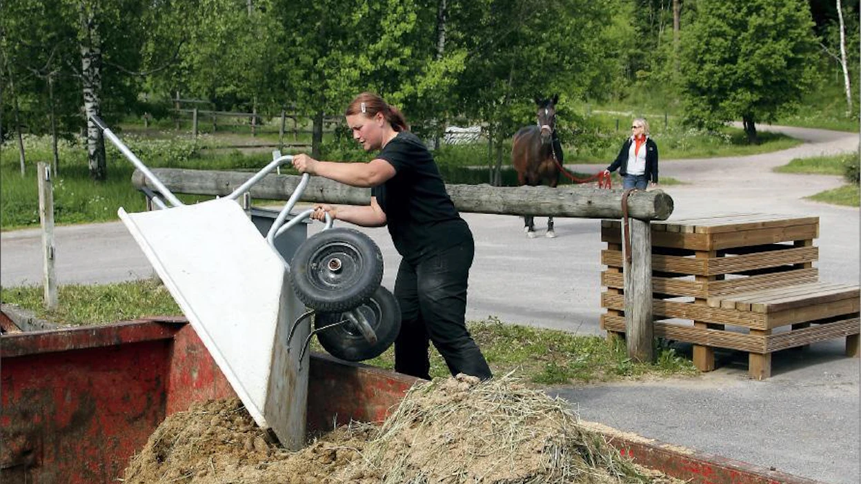 Tallimestari Mirella Vartiainen kippaa sontaa lavalle Gumbölen ratsastuskeskuksessa. Jaana Kankaanpää