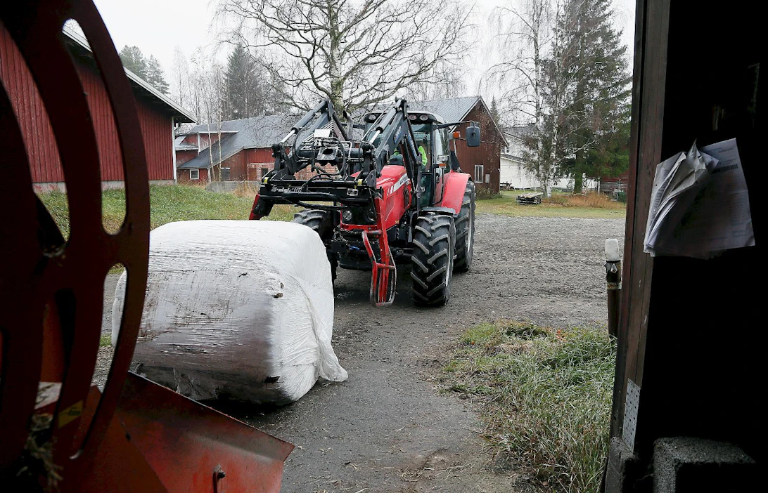 Maatalouslomittajat ry ja Jyty korvaisivat henkilökohtaisen lomaoikeuden tilakohtaisella lomaoikeudella. Kuvituskuva: lomittaja siirtää rehupaalia.