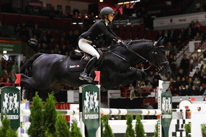 Anna-Julia Kontio kilpaili vuonna 2015 Helsinki International Horse Showssa hevosella Pasific des Essarts.