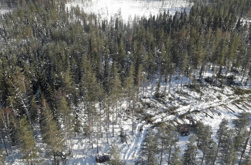 Lumituhoja oli myös Pohjois-Savossa. Lumituholeimikon korjuuta Rautavaaralla 5. maaliskuuta.