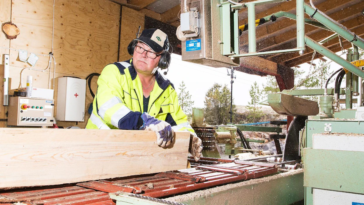 Sahayrittäjä Pertti Huppunen sahasi kotimaista lehtikuusta terassilaudoiksi Nurmijärvellä torstaina. Hän ei koe puupölyä ongelmaksi omassa työssään.