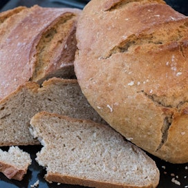 Juureen leivottu maalaisleipä on tiiviimpää kuin tavallinen hiivaleipä.