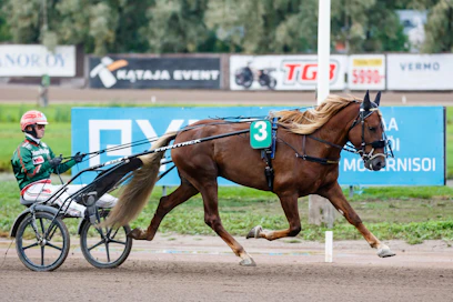 Parvelan Retu on kuusivuotiaana jo Pohjoismaiden kylmäverimestari.