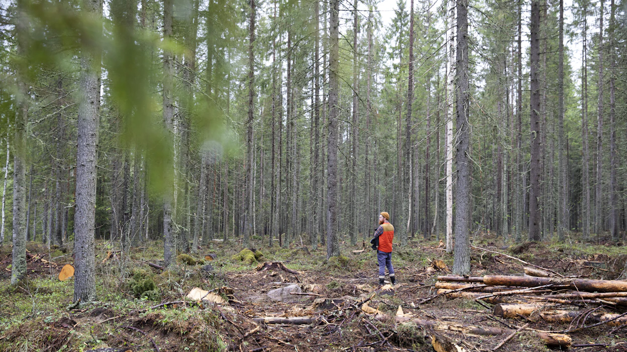 Metsien käyttötavoitteiden täyttämiseksi tarvitaan erilaisia metsiä ja niihin soveltuvia monipuolisia käyttötapoja.